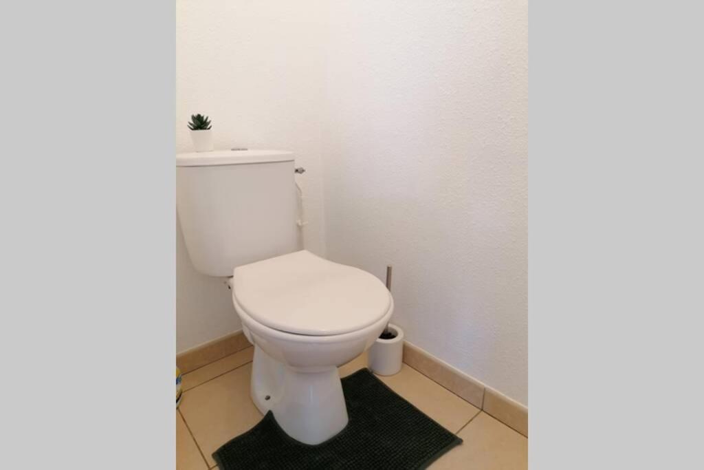 Grenade-sur-Garonne T2 Entier - Hyper Centre - Cosy Home מראה חיצוני תמונה