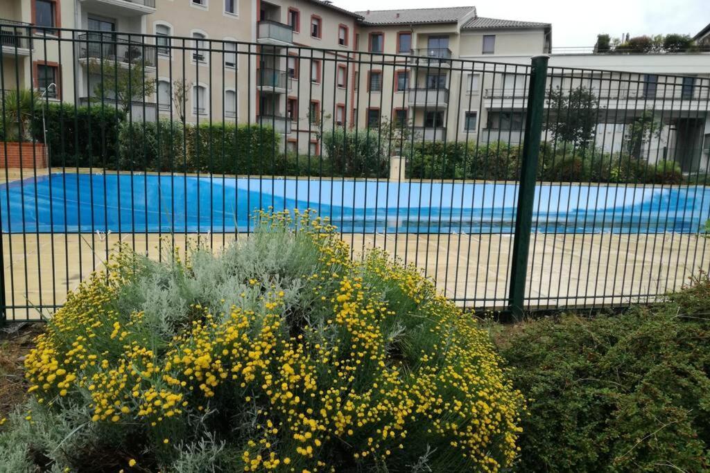Grenade-sur-Garonne T2 Entier - Hyper Centre - Cosy Home מראה חיצוני תמונה